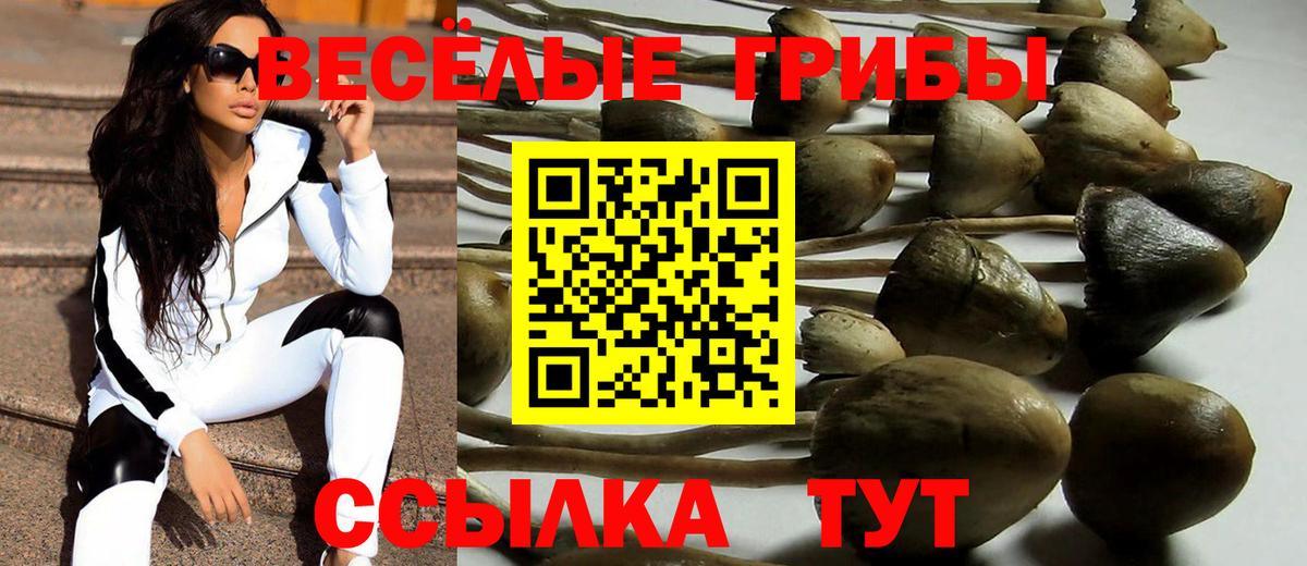 Галлюциногенные грибы Magic Shrooms Верхний Уфалей